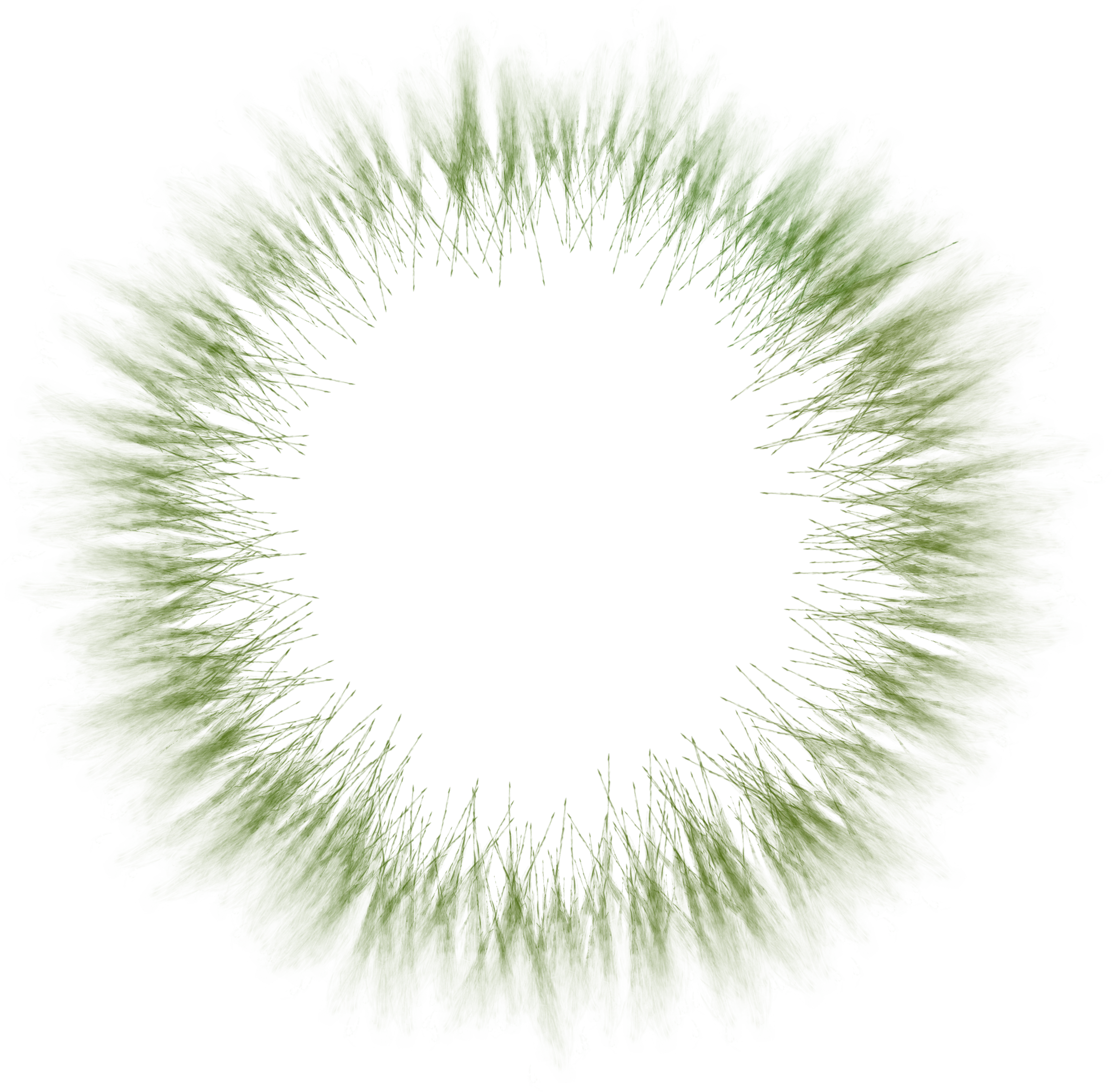 circle-with-fur-design.webp